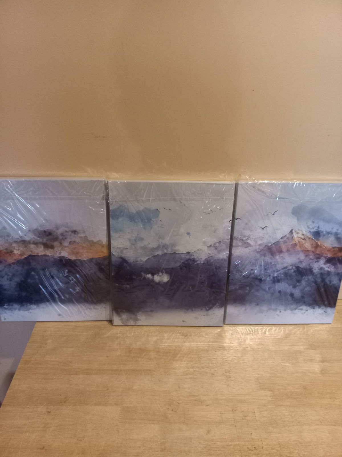 Painting ZETANART 30x40x3 cm, 3 pcs.