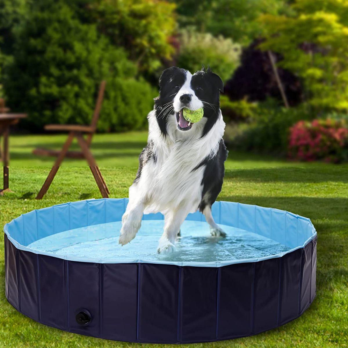 Dog pool 120 x 30 cm