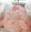 HALAL LAMB TAIL FAT FOR SALE