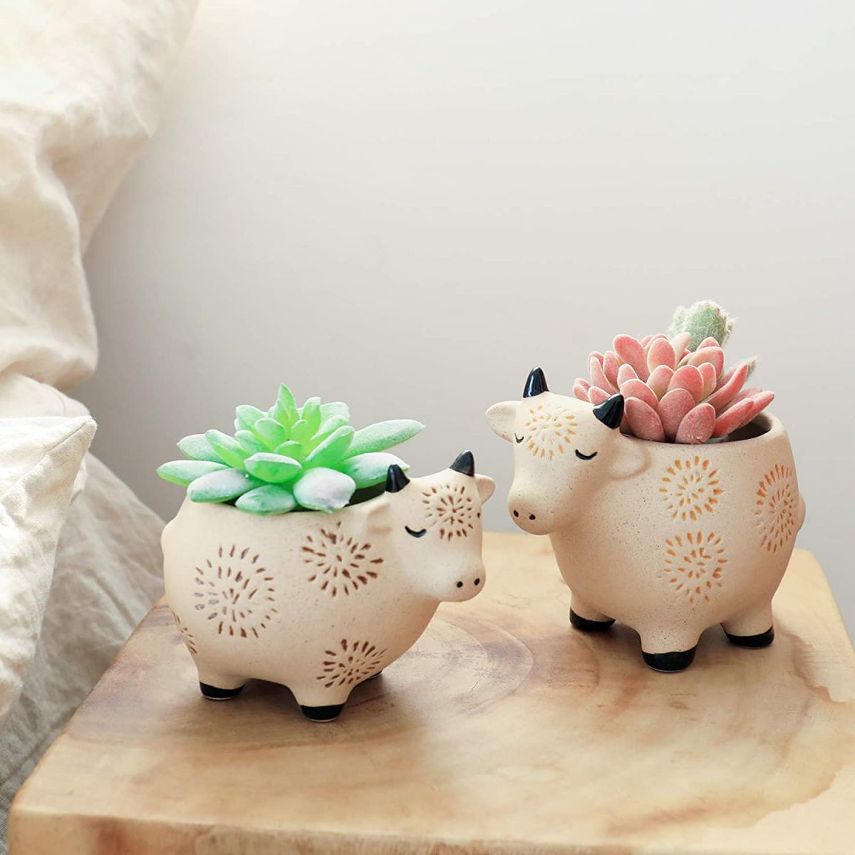 Ceramic pots for home decor