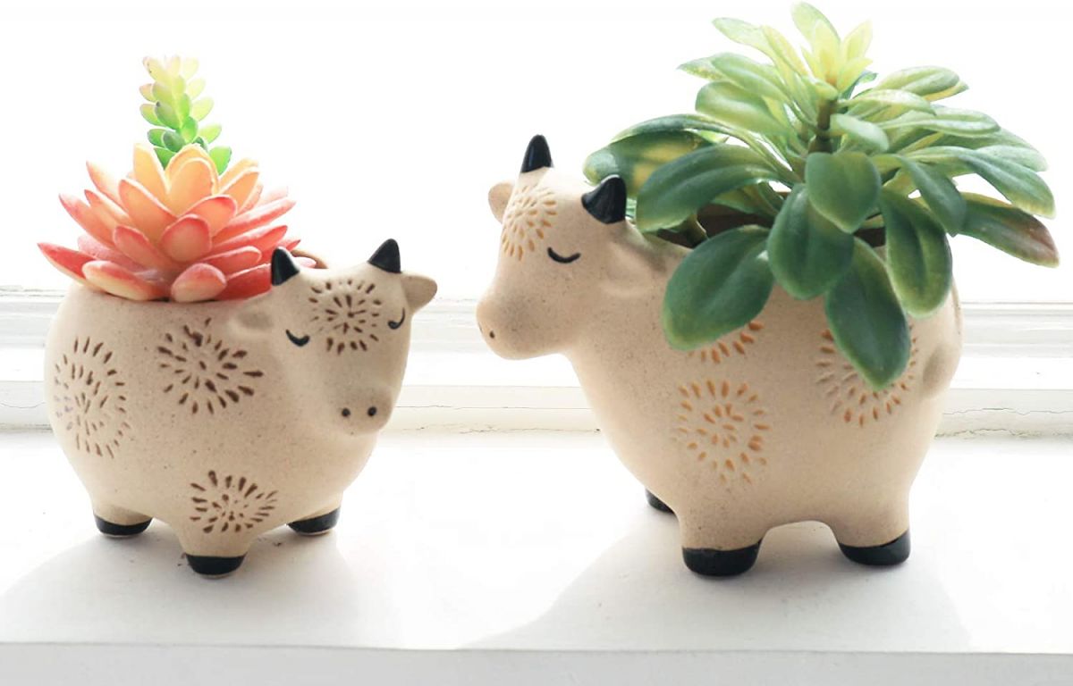 Ceramic pots for home decor