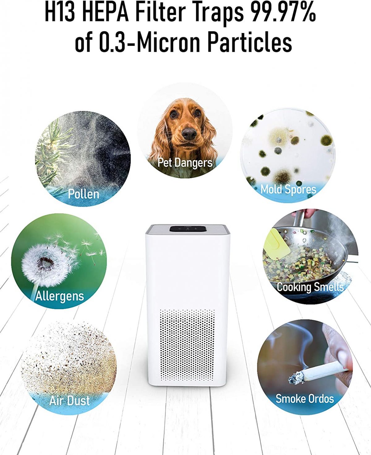 TOPPIN Air Purifier with H13 HEPA Filter TPAP001