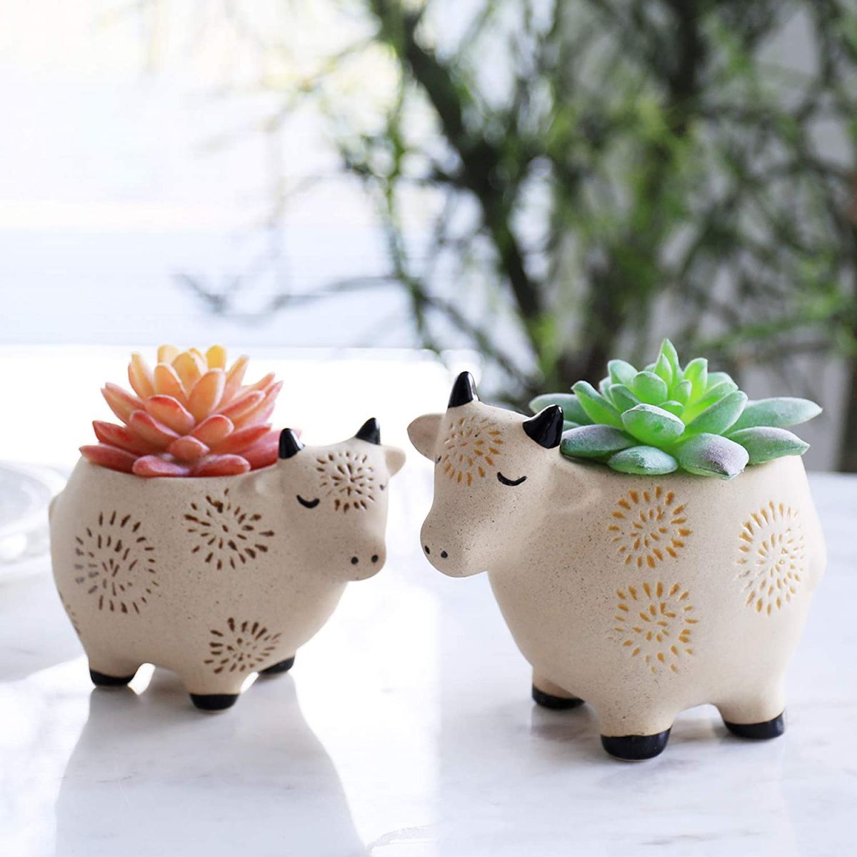 Ceramic pots for home decor